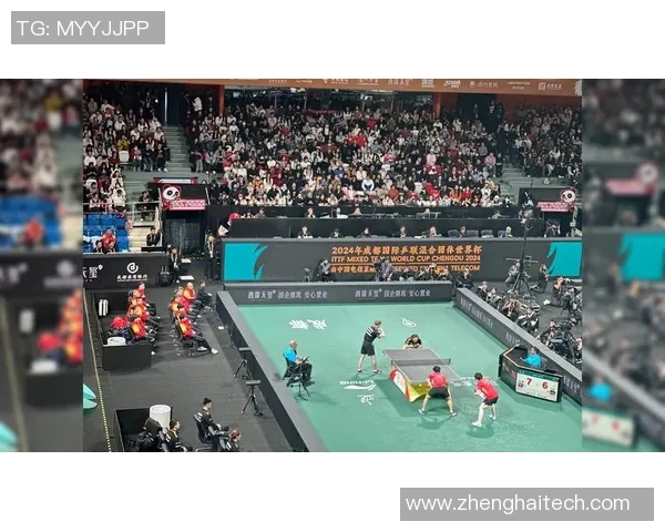 成都乒乓球队的灵活性探讨与训练策略分析