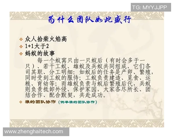 成都与南京乒乓球队赛后复盘分析团队协作与战术执行的成功与不足