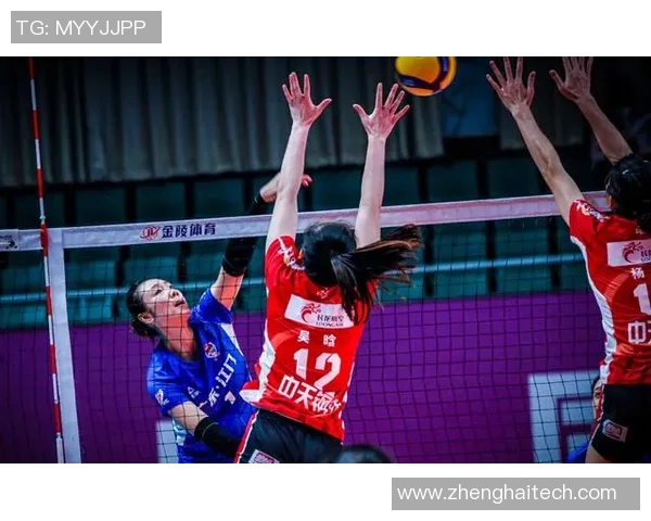 杭州排球队的转型之路：从传统强队到现代化竞技的新篇章