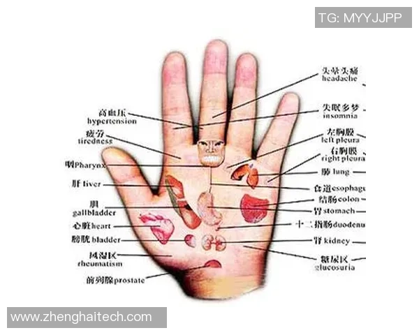 足球明星手相揭秘男性球员掌纹分析与性格特征探讨